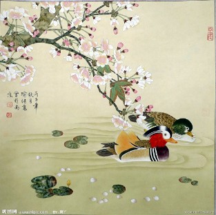 duck, mandarin, painting
